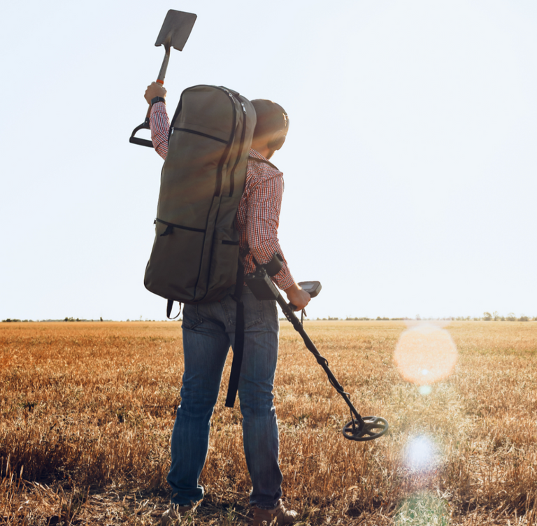 Minelab Vanquish 440